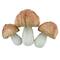 Assorted Spring Decorative Mushrooms by Ashland&#xAE;